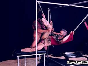 Polar bear rough anal bareback gay ass