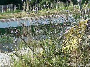 big gay twink takes huge cock in his ass!