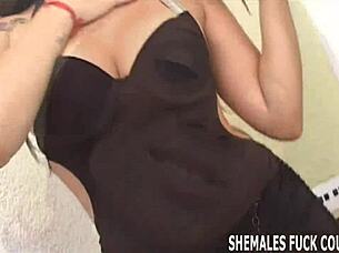 I want you to fuck that tranny hard right now?