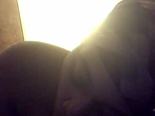 Black Blowjob With Intense Sucking Action