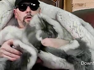 Humping Fur Blanket on Leather Sofa