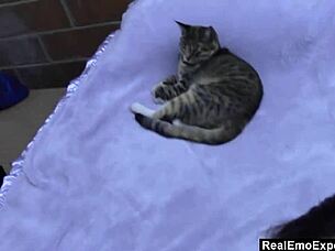 gina gets fucked pov style by big cock