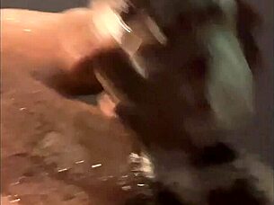 bbc and bbw ebony life with monster cocks and big asses 😍