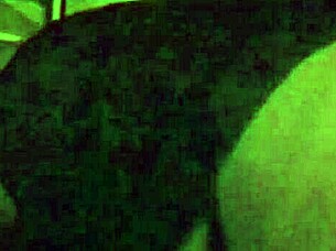 Another Afternoon of Sublime Pleasure with My Partner.