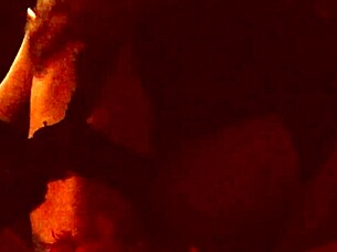 Another Afternoon of Sublime Pleasure with My Partner.