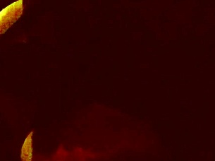 Another Afternoon of Sublime Pleasure with My Partner.