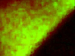 Love My Wife's Pussy Stretched By Monster Cock