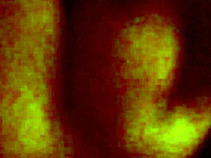 Love My Wife's Pussy Stretched By Monster Cock