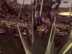 다크 랜턴 엔터테인먼트 프레젠츠 더 드래곤플라이