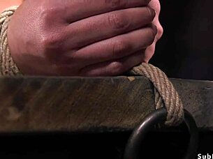 i'm the busty hairry submissive babe in hogtie, ready for rough fuckin'