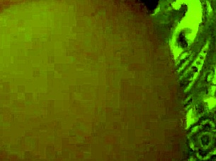 they fuck me doggystyle on all fours, my favorite