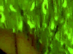 they fuck me doggystyle on all fours, my favorite