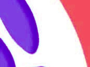 Furry Wolf and Gay Bird Enjoying a Meal Together on the Beach