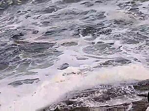 paragliding instructor caught him eating latina's ass on magic island