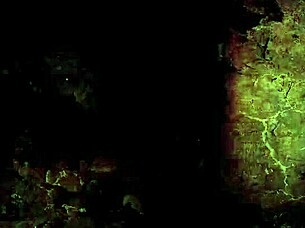 Vintage interracial threesome with black and white pussy