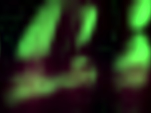 A New Generation of Big Tits Sucking Compilation