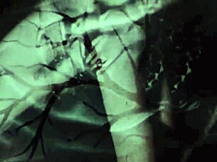 Vintage interracial threesome with black and white pussy