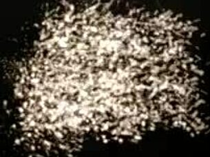 Cute Iris Kiss Kiss Overwhelmed by Two Big Cocks