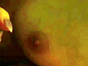 i ride redhot fox in doggystyle