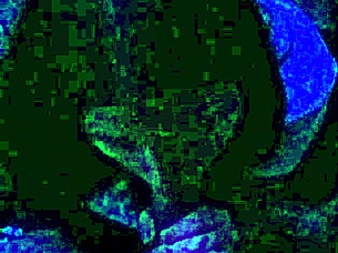 Amiguita de escuela gets wet pussy fucked by big cock