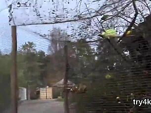 Lovable nympho sucks penis in POV while getting her clit licked and pink slit banged in group hardcore.