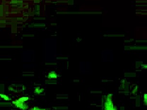 Watch This Bondage Video From January 26th