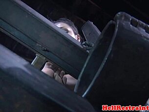 想看我们用电玩支配顺从者吗？