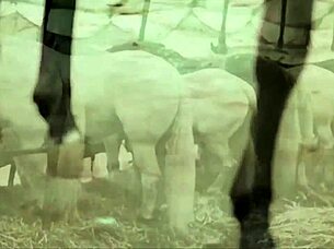 Dark Lantern Entertainment dévoile Dragonfly scène 3 partie 1 pipe