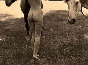 Dark Lantern Entertainment deler victorianske bekjennelser av kvinner med dyr fra et hemmelig erotisk liv.