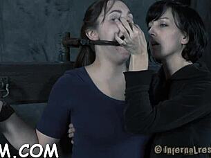 거친 BDSM 타이트 보지 스팽킹 지저분한 블로우잡