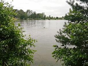 Elvittem kempingezni a mostohaanyámat és szexeltünk, a lábai olyan piszkosak és szexik!